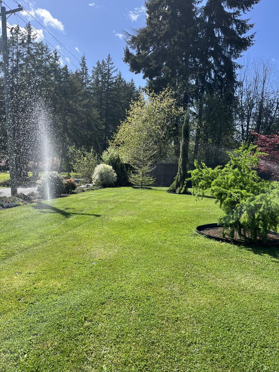 Ground Up Irrigation - residential system running